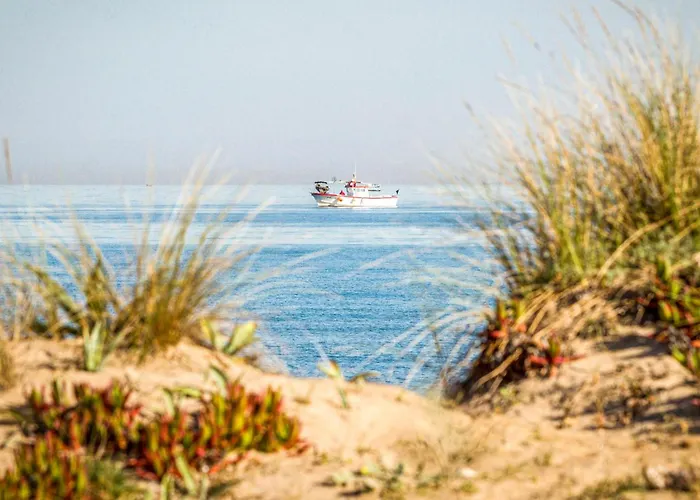 Apartamento In With Wifi *